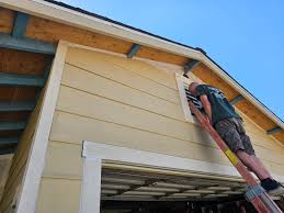 Best Vinyl Siding Installation  in Oronoco, MN